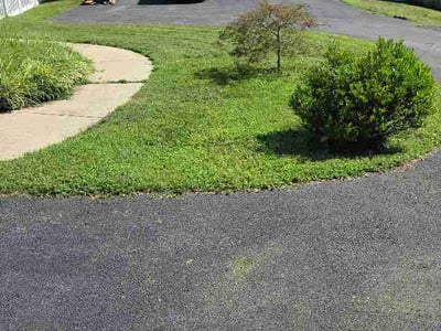 Lawn care service in La Plata, 20646