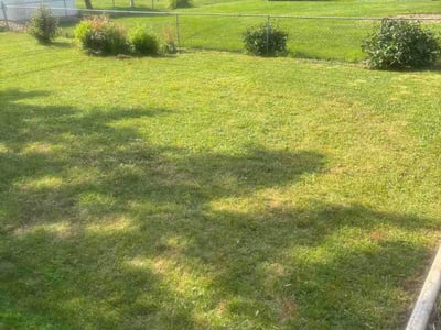 Lawn care service in Waterloo, 50701