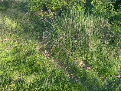 Lawn care service in Westerville, 43081