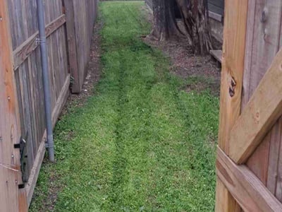 Lawn care service in Plano, 75074