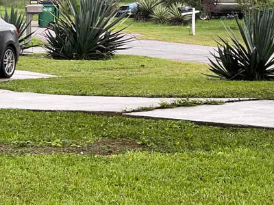 Lawn care service in Tampa, 33612