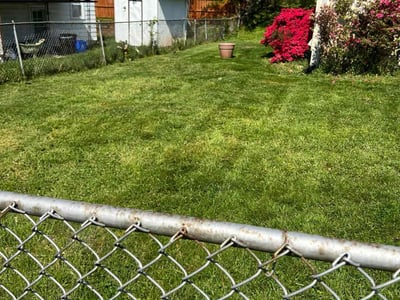 Lawn care service in Silver Spring, 20906