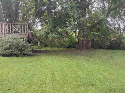 Lawn care service in Decatur, 62521