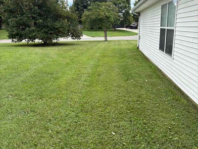 Lawn care service in Maryville, 37804