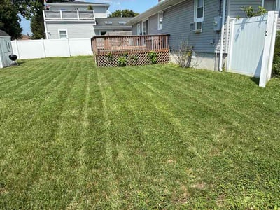 Lawn care service in Island Park, 11558
