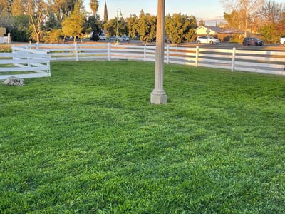 Lawn care service in Visalia, 93277