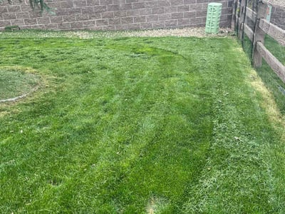 Lawn care service in Colorado Springs, 80921