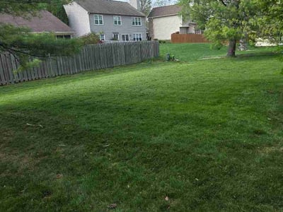 Lawn care service in Fishers, 46038