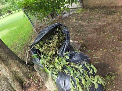 Lawn care service in Elkins, 72727