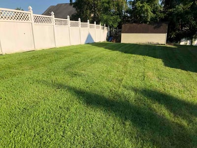 Lawn care service in Perry Hall, 21128