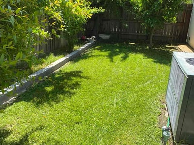 Lawn care service in Stockton, 95207