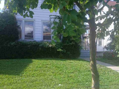 Lawn care service in Albany, 12203