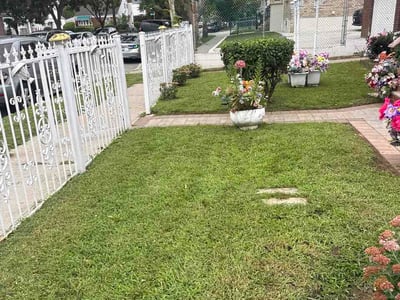 Lawn care service in Queens, 11434