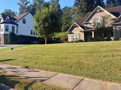 Lawn care service in Newnan, 30265