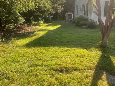 Lawn care service in Norwich, 06360