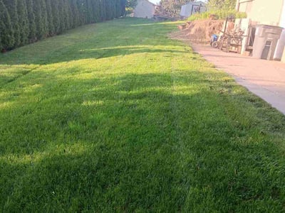 Lawn care service in Council Bluffs, 51503