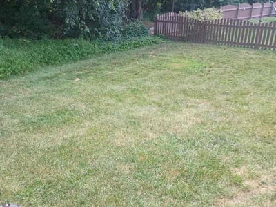 Lawn care service in Raleigh, 27606
