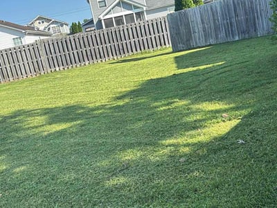 Lawn care service in Nashville, 37214