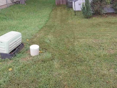 Lawn care service in Lithonia, 30058
