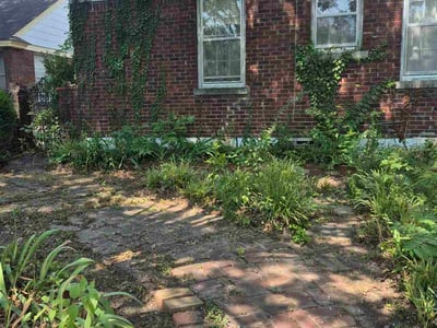 Lawn care service in Memphis, 38107