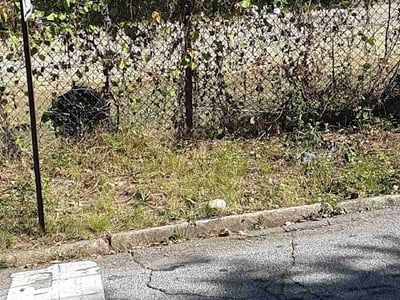 Lawn care service in Decatur, 30033
