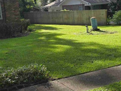 Lawn care service in Mobile, 36618