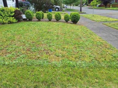 Lawn care service in Vancouver, 98660