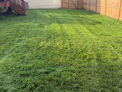 Lawn care service in Linton Hall, 20136