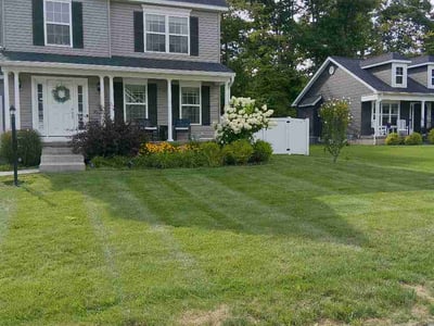 Lawn care service in Rotterdam, 12306