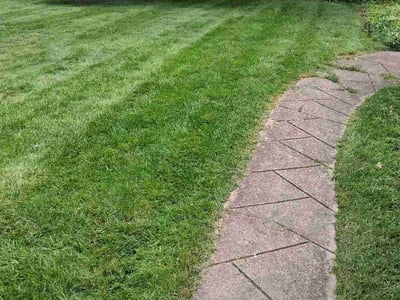 Lawn care service in Youngstown, 44512