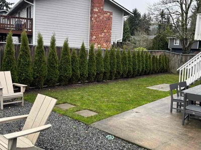 Lawn care service in Kirkland, 98034