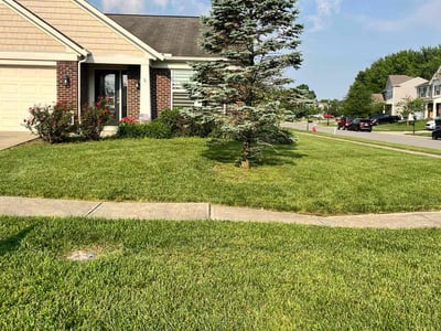 Lawn care service in Morrow, 45152