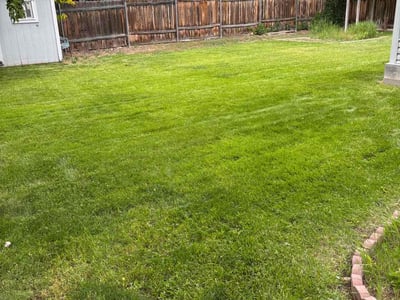 Lawn care service in Boise, 83709