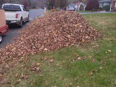 Lawn care service in , 