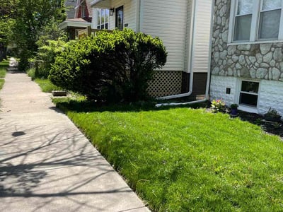 Lawn care service in Chicago, 60636