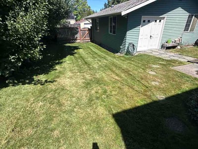 Lawn care service in Tacoma, 98407