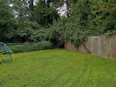 Lawn care service in Louisville, 40291