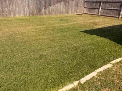 Lawn care service in Bryan, 77807