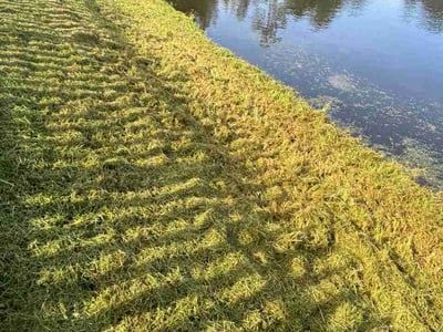 Lawn care service in Jacksonville, 32218