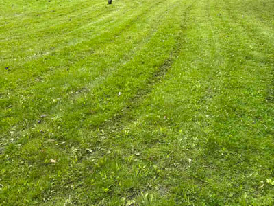 Lawn care service in Rexford, 12148