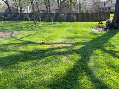 Lawn care service in Hendersonville, 37075
