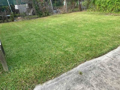Lawn care service in New Orleans, 70114