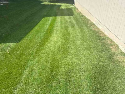 Lawn care service in Olathe, 66062