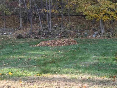 Lawn care service in Morristown, 07960