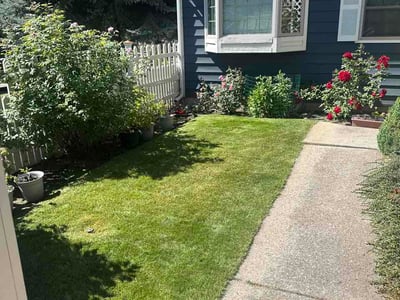Lawn care service in Missoula, 59802