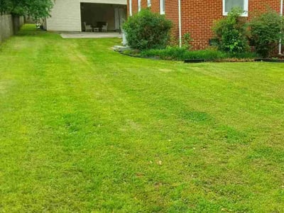 Lawn care service in Huntsville, 35801
