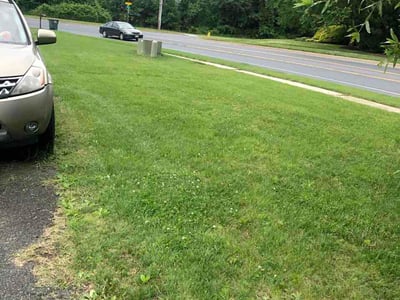 Lawn care service in Edgewood, 21040