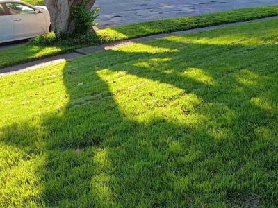 Lawn care service in , 