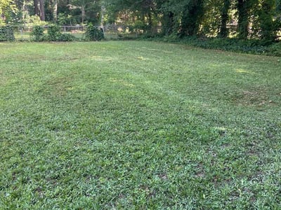 Lawn care service in Fayetteville, 28314
