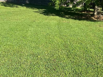 Lawn care service in Lafayette, 70508